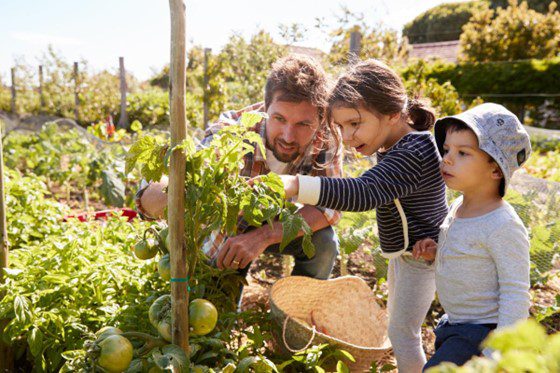 image of family working in the garden