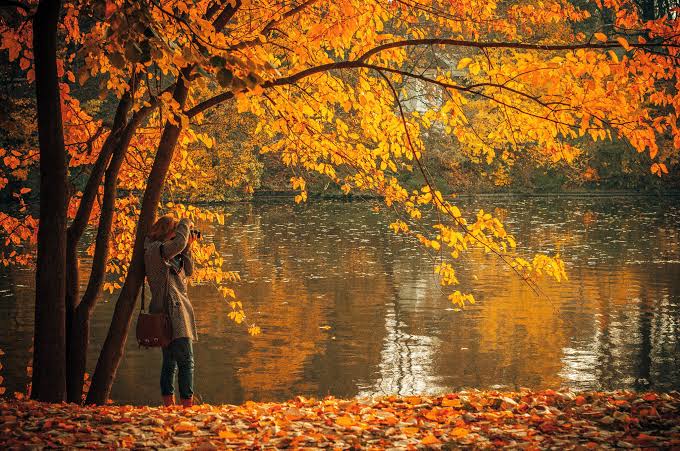 image for the article, "embracing the magic of fall"